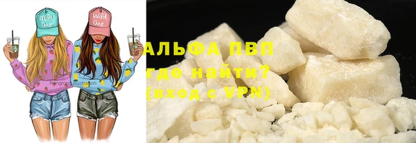 индика Алексин