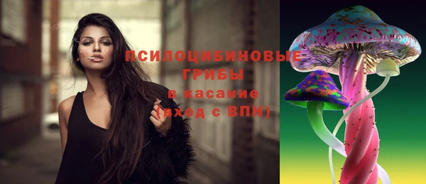 МДПВ Алексеевка