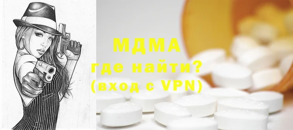 индика Алексин