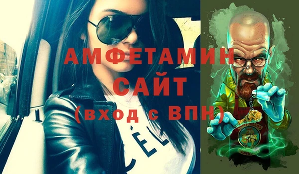 индика Алексин