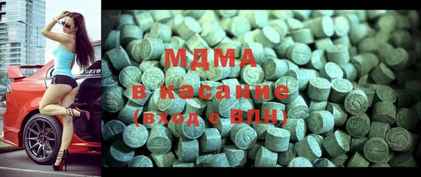 индика Алексин