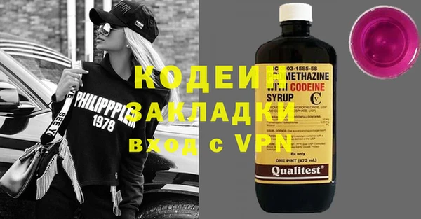 индика Алексин